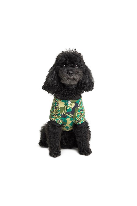 Diesel Pet-wolf-cmf Grüne Tarnung