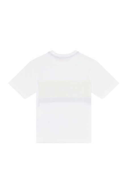 Diesel Ltreapdiv über Weiß