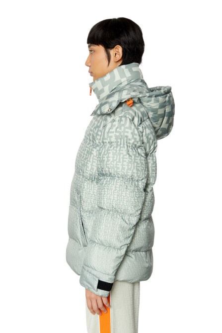 W-step-mon Diesel Hellgrau