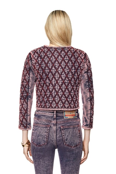 Diesel Entwicklung Fs