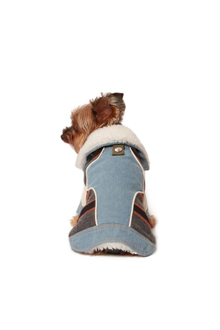 Pet-ed Diesel Hellblau