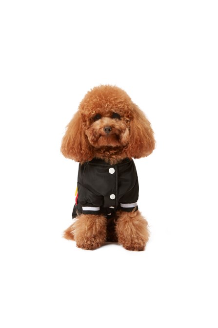 Schwarzer Pet-chwork-diesel