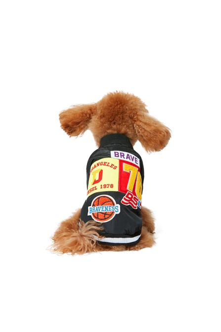 Schwarzer Pet-chwork-diesel