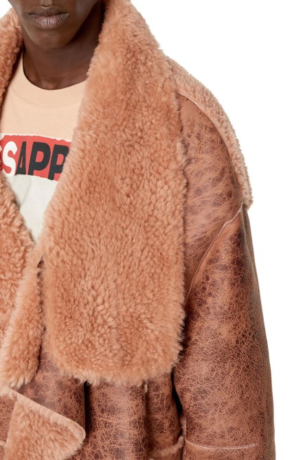 Rosa L-lierre-diesel