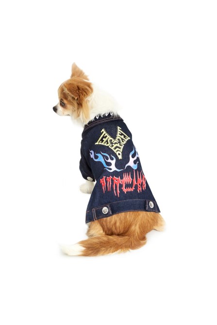 Pet-flames Diesel Dunkelblau