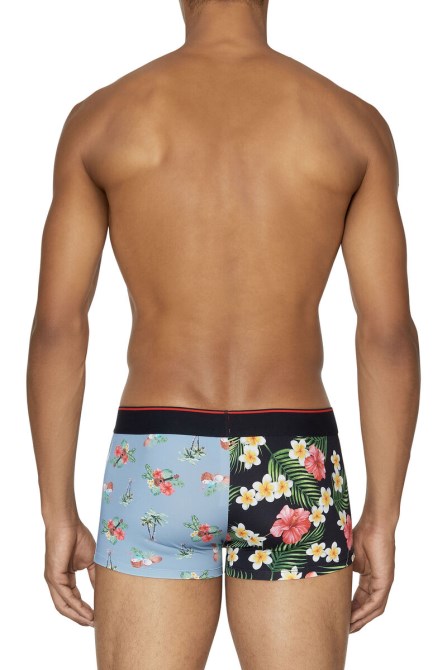 55-dshawn Dieselblau