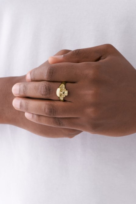 Goldenerdiesel Dx1380