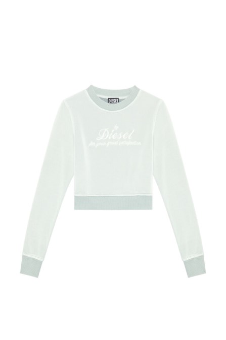 Grau F-slimmy-e2 Diesel