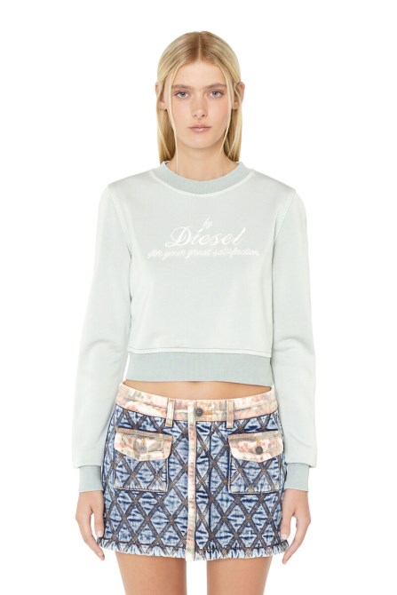 Grau F-slimmy-e2 Diesel