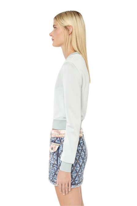 Grau F-slimmy-e2 Diesel