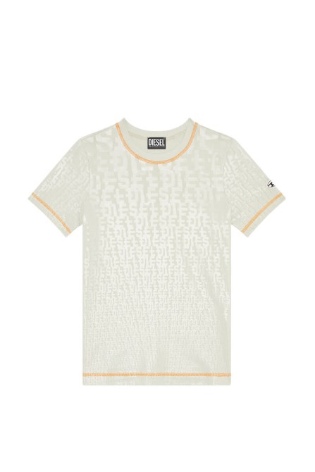 T-reg-mon Dieselgrau