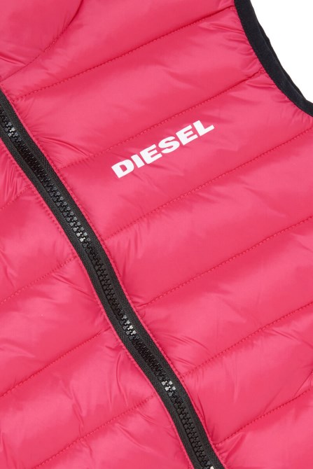 Rosa Diesel Jolice-sl