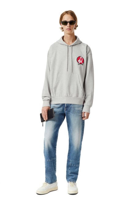 Lr-s-girk-hood-vic Diesel Hellgrau