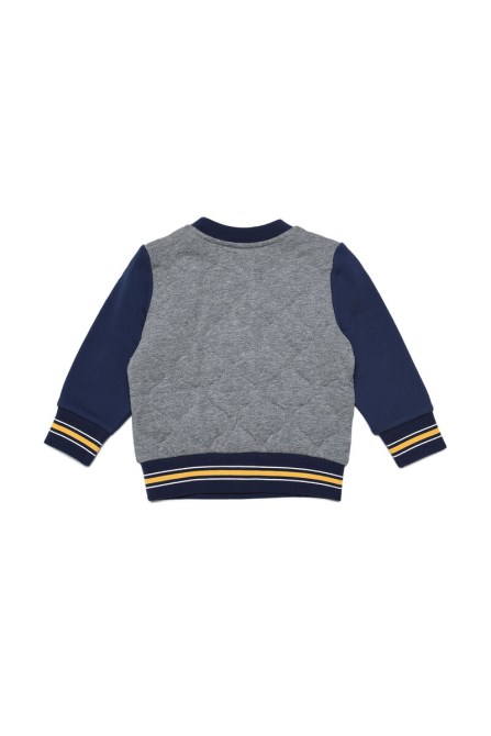 Grauer Sontyb-diesel