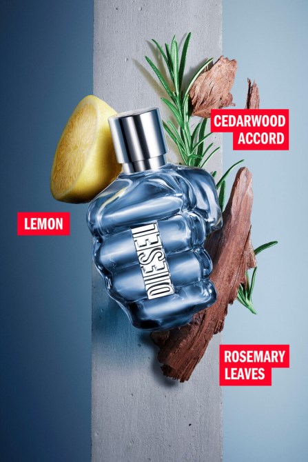 Nur Das Tapfere 50ml Dieselweiß