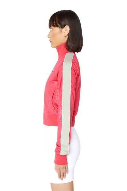 F-macsy-mon Dieselrot