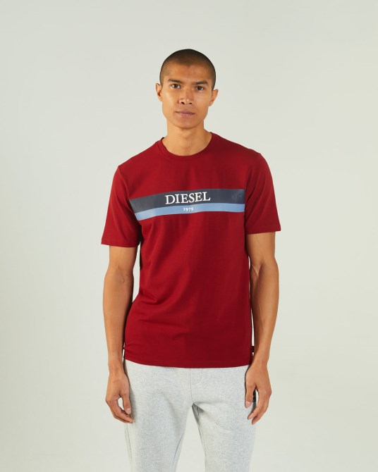 Navy Hoyt T-shirt Rot Dahlia Diesel