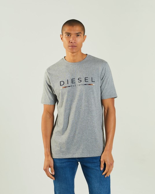 Diesel Fabriccio Tee Grau Meliert Weiß