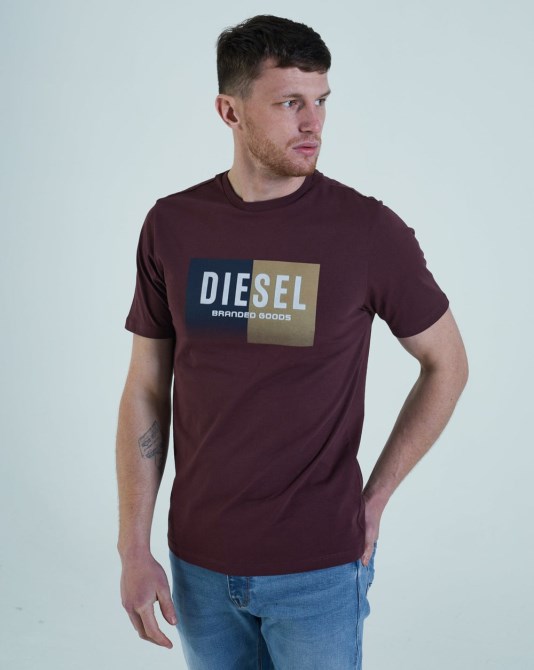 Kane Tee Sassafras Diesel Grau